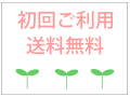 初回送料無料